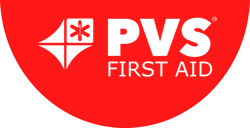 Logo semisfera PVS TM (1)